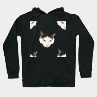 Cute Harlequin Cats Staring at You - Repeat Pattern Hoodie